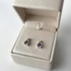 Aretes Amatista Eterna