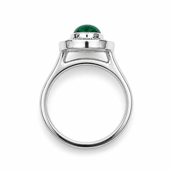 7 Anillo Vita