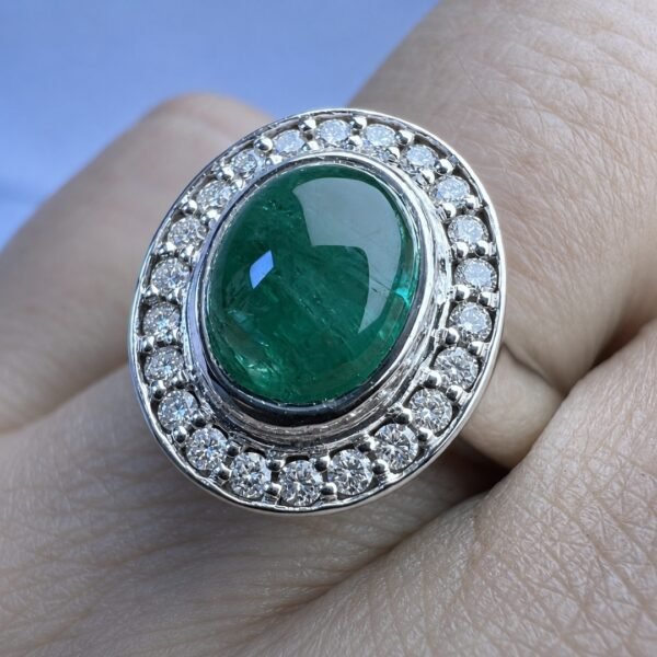 8 Anillo Vita